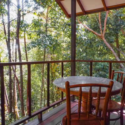 Chalet Treetop (dengan Balkoni dan Pemandangan Hutan Hujan) Kupon Japamala Resort - by Samadhi