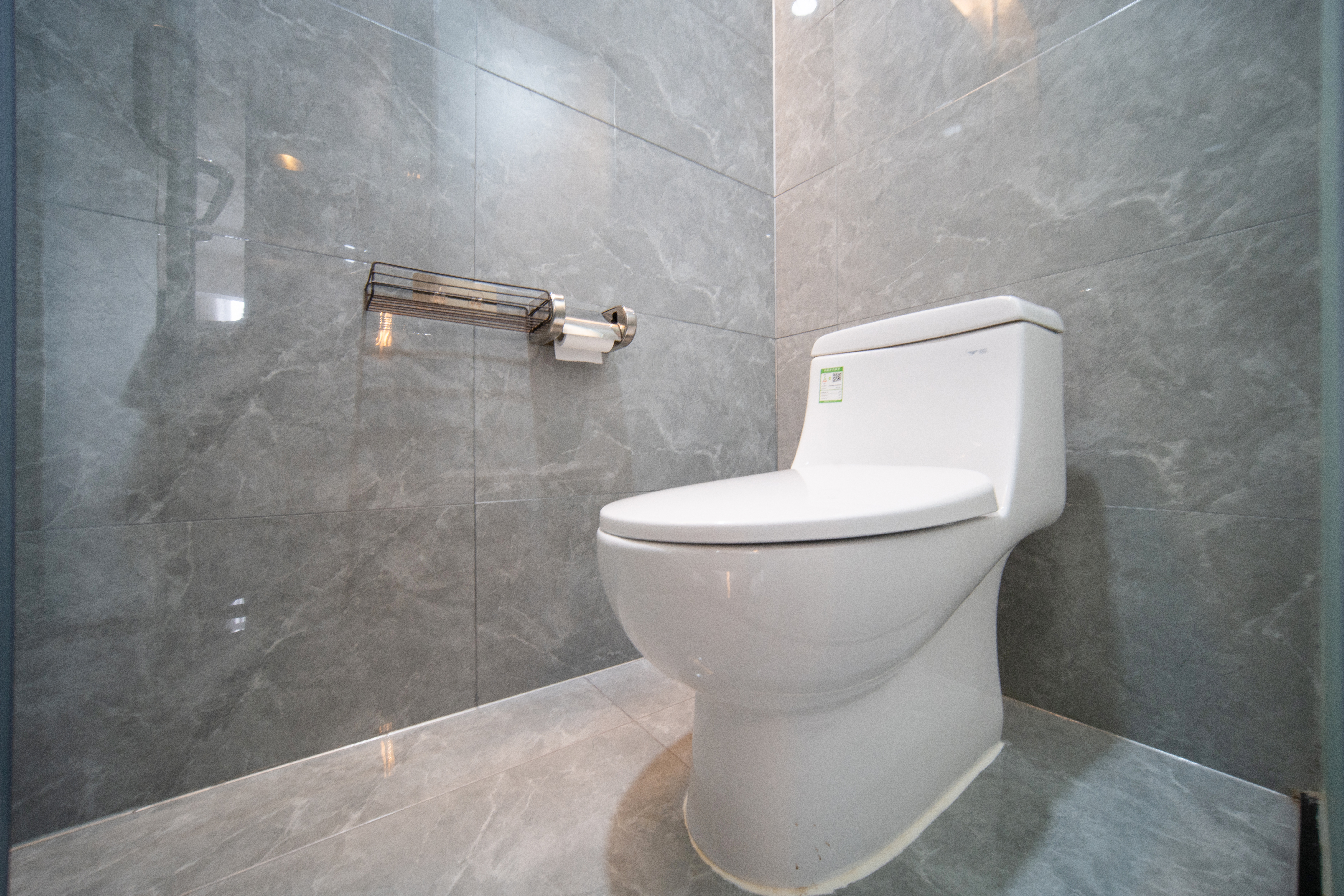 凤凰嘉宾双床房