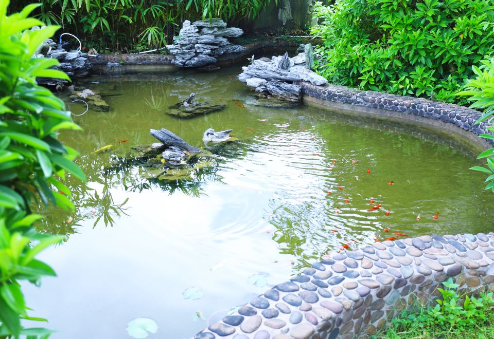 亲子特色阳光花园三卧家庭套房