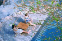 Kucha Bieyuan Homestay  호텔