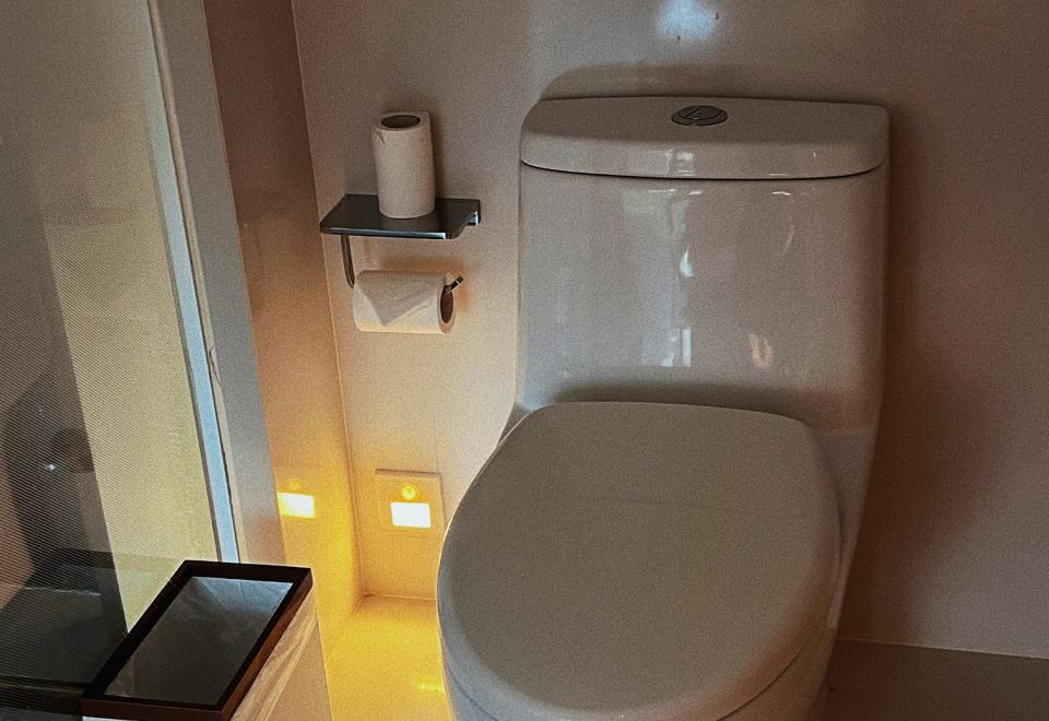 豪华森林氧吧双床房（智能镜+可投屏）