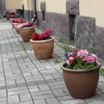 Senate Hotel Hotels in 