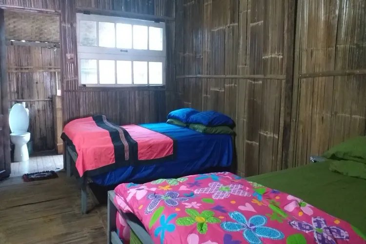 Farmstay Rooms With Round Trip From Fang Bus Stop