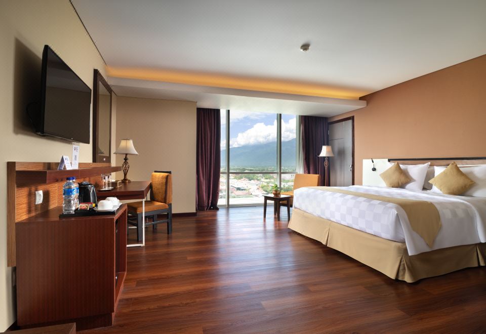 豪华城景房，1张大床，无线网、淋浴、保险箱，禁烟