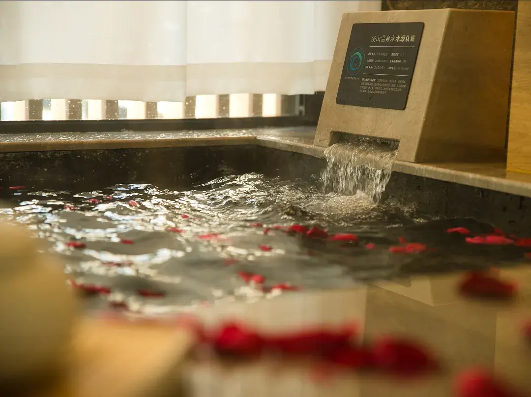 Nanjing Lsx Hotspring Hotel - Nanjing