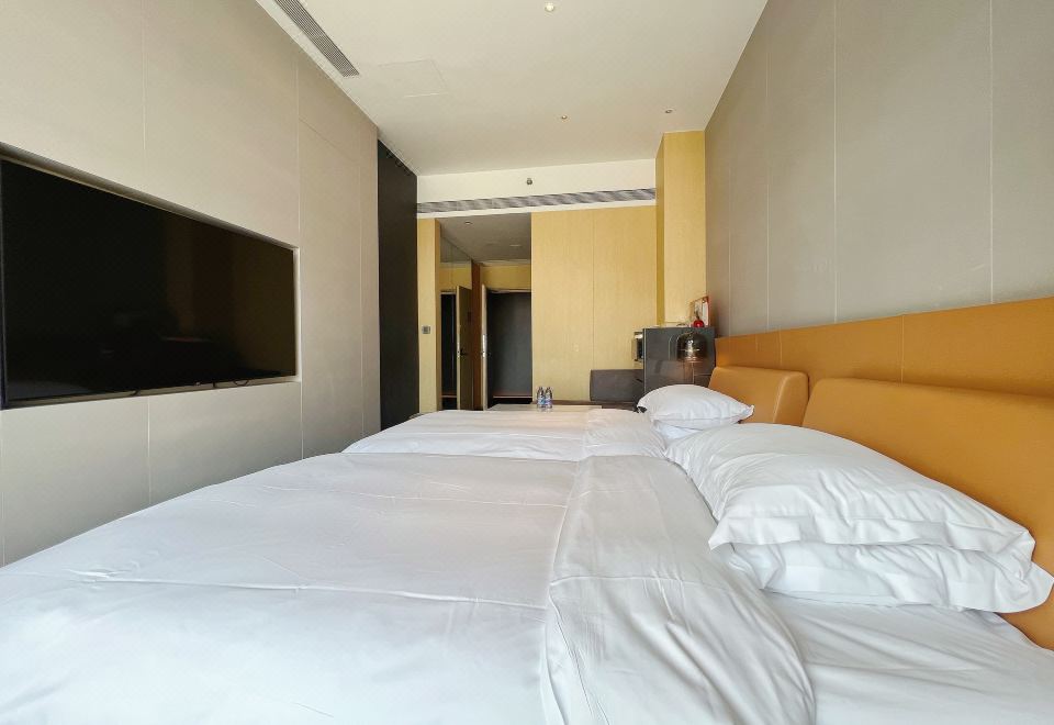 豪华森林氧吧双床房（智能镜+可投屏）