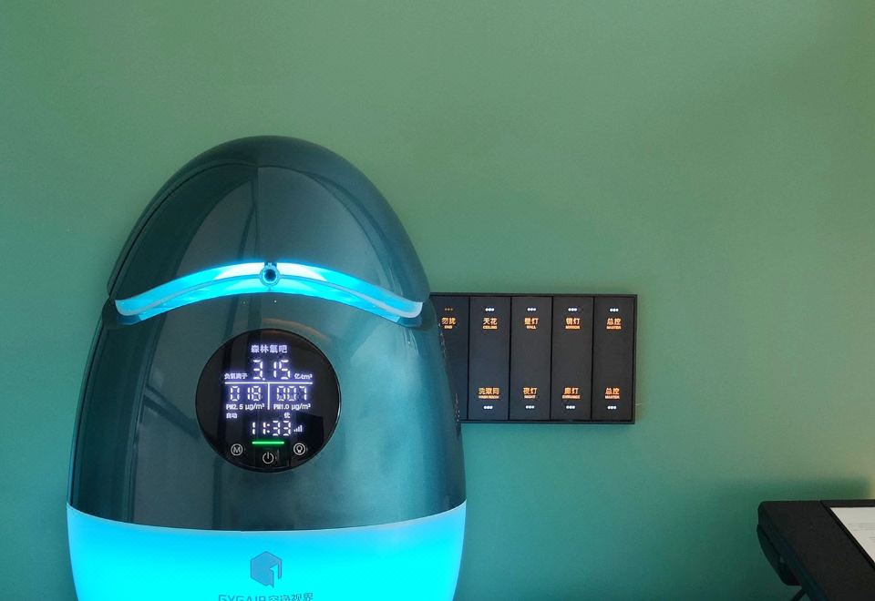 Investon Hotel Shenzhen LonghuaForest Oxygen Bar Double Bed Room