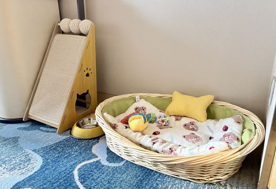 豪华大床房-宠物友好