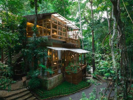 วู มะ คา มู