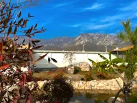 Luky Holiday Homestay (Dengfeng Songshan Scenic Area Branch)
