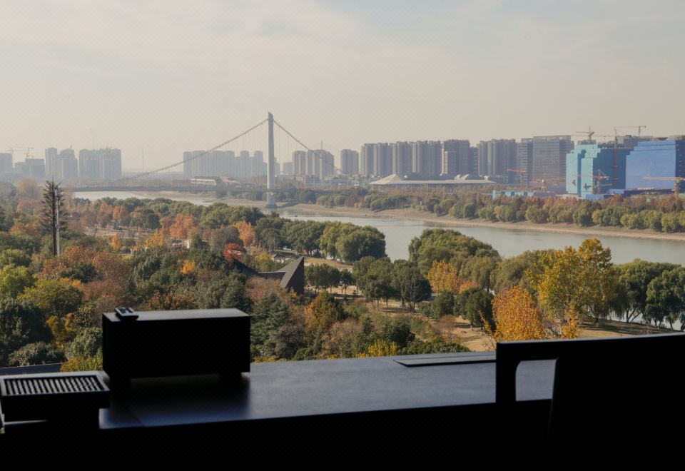 豪華庭園江景房