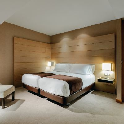 Standard Room (Extra Bed 2 Adults + 1 Child) Hesperia Bilbao Promo Code