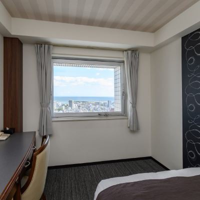 禁煙スタンダードダブル(オーシャンビュー ) ホテル グリーン パーク津 クーポン