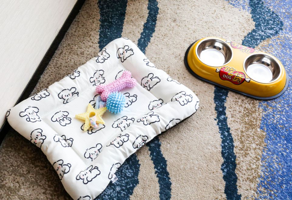 萌寵友好房（萌寵窩墊+玩具+食盆+溜寵物件）