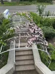 Apple guesthouse Hotel a 
