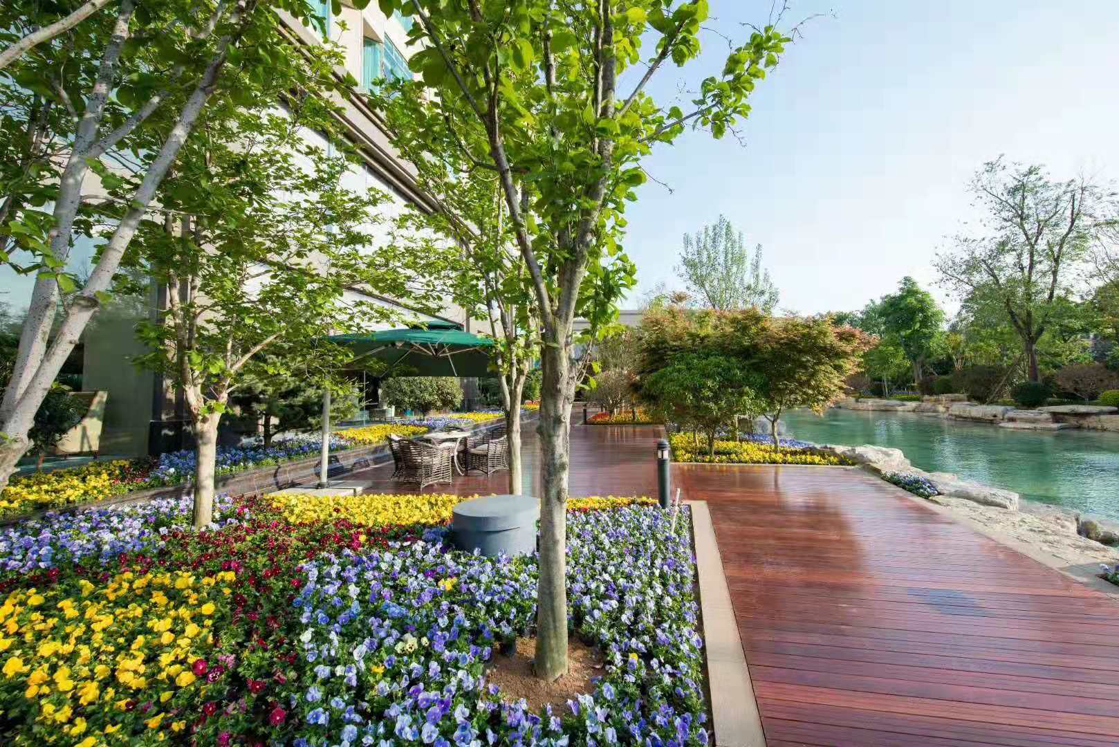 豪华园景大床房