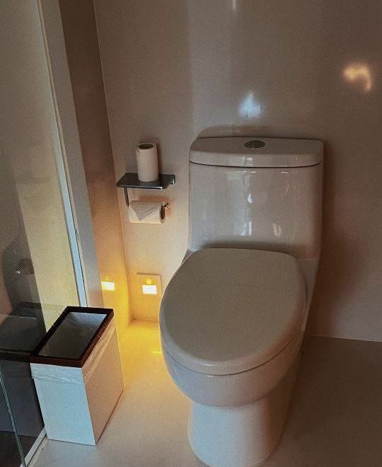 豪华森林氧吧大床房（智能镜+可投屏）