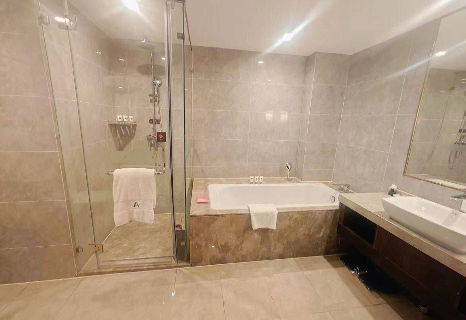 Arcadia Hotel PuyangPremier Room (Double Bed)