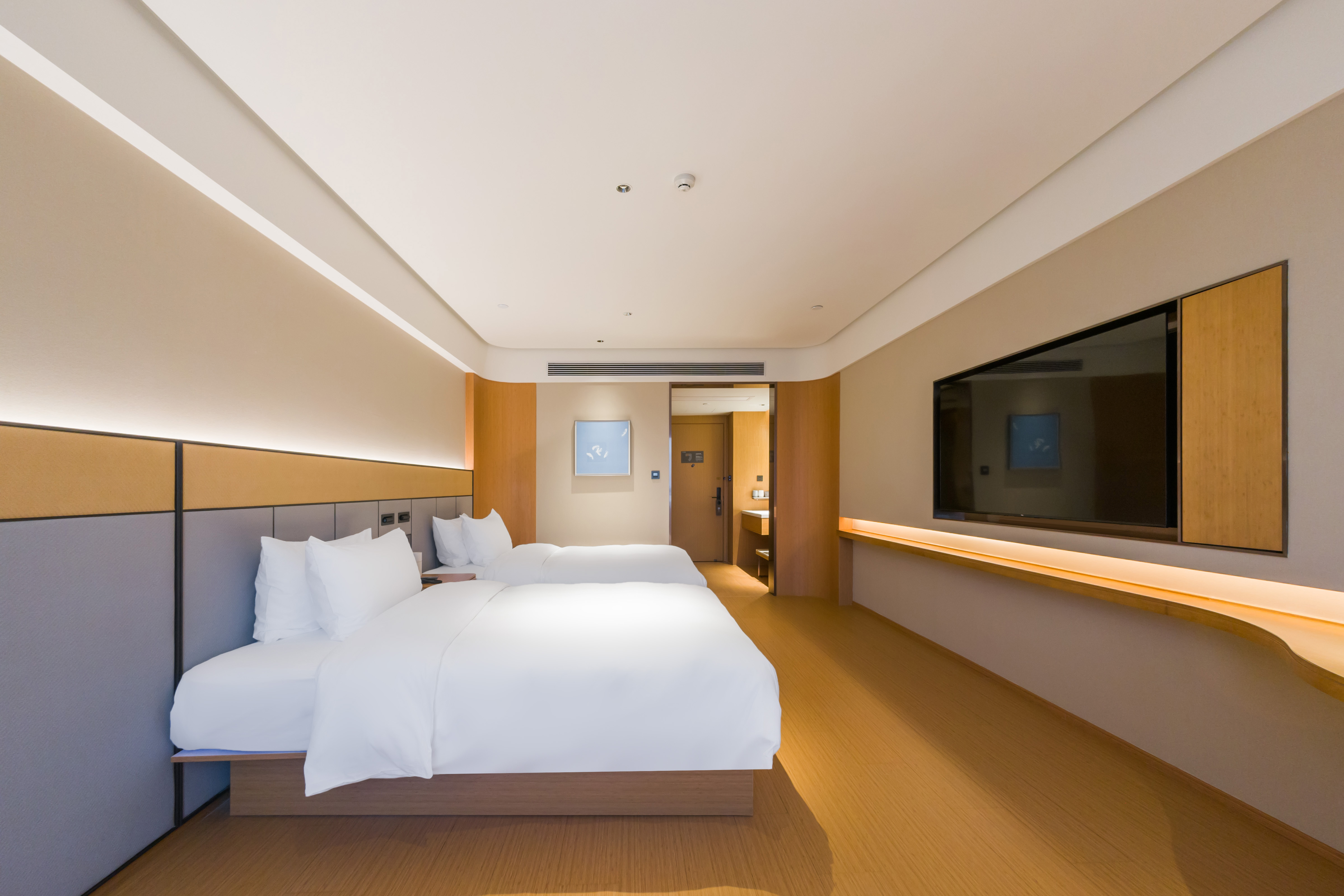 高级双床房（65寸电视投屏+智能客控+迷你小冰箱）