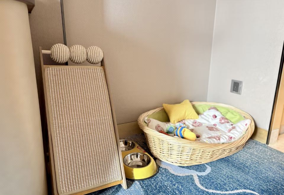 豪华大床房-宠物友好