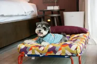 三亜天麗灣ハイアット リージェンシーホテル のホテル