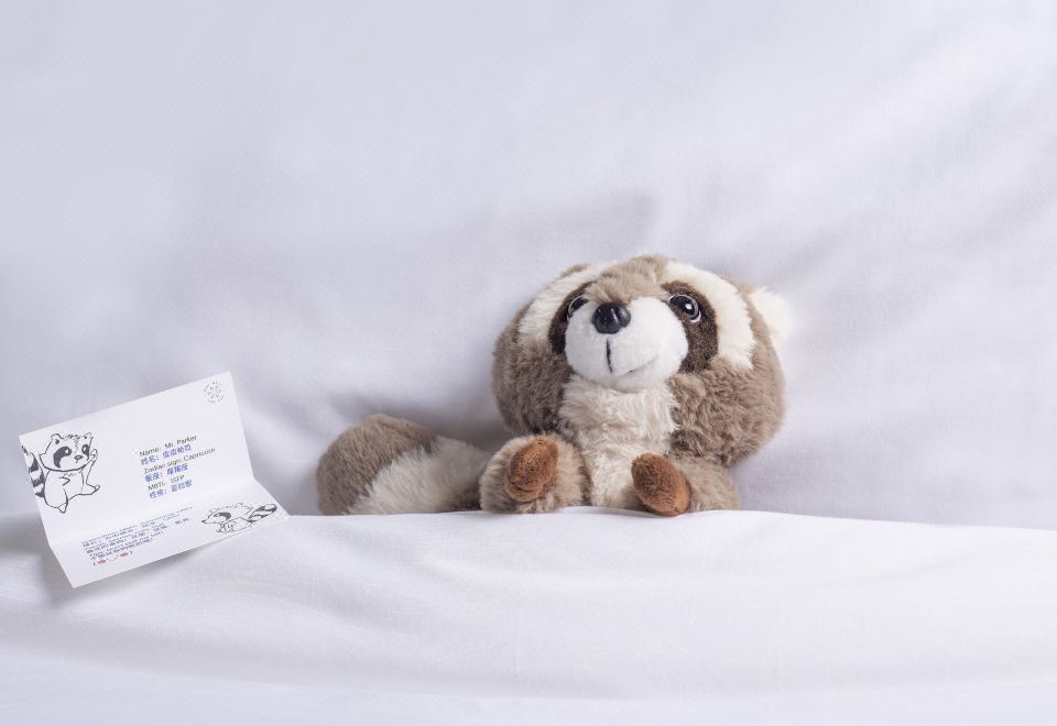 家庭房 （ 世界之窗景观）