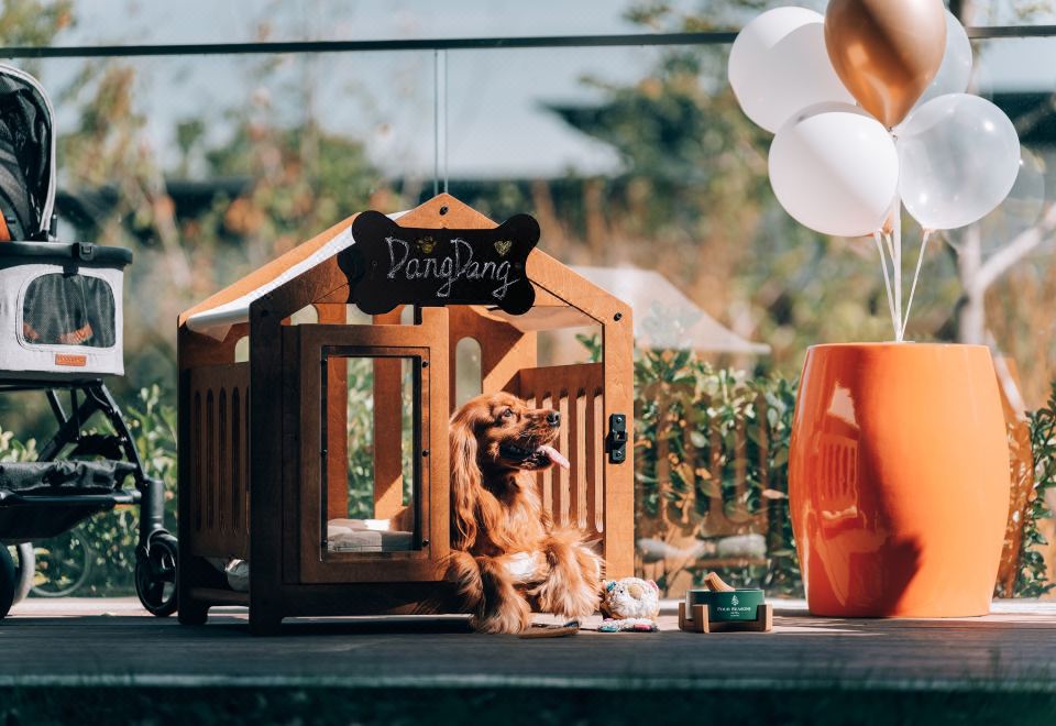 萌汪庭院大床房