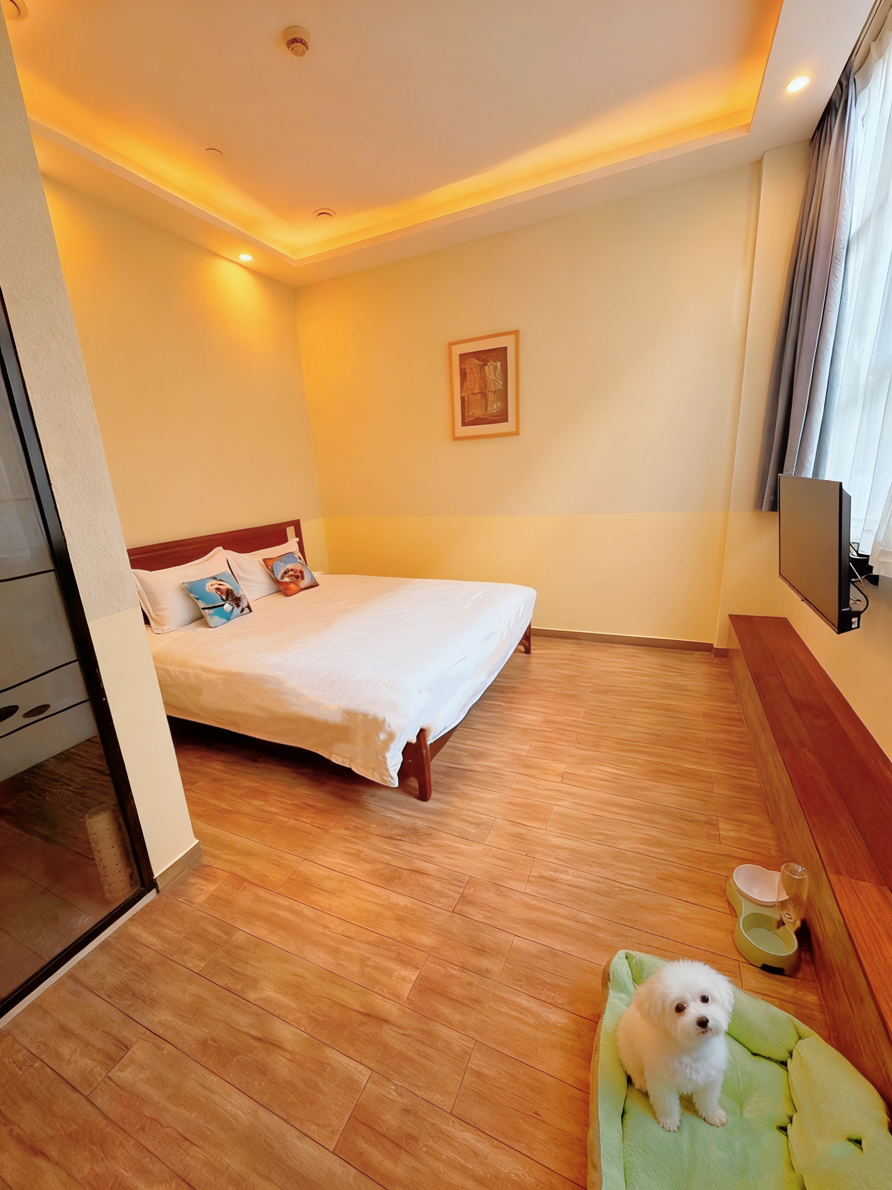 宠物友好大床房（宠物用品）