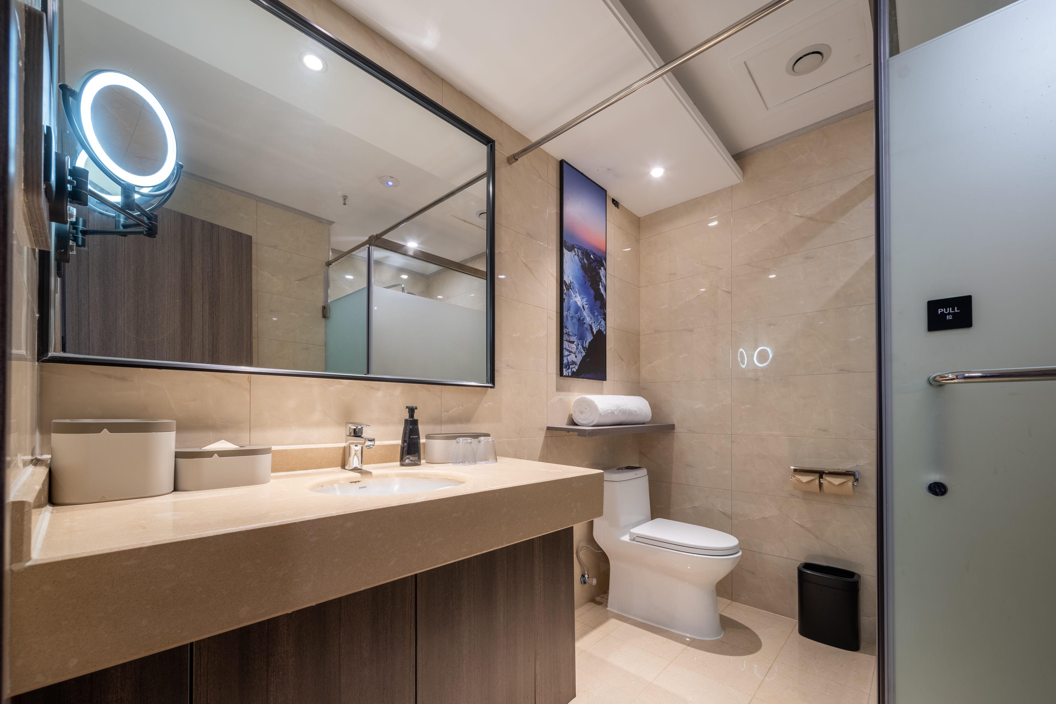 高级园景大床房（手机投屏＋加湿器）