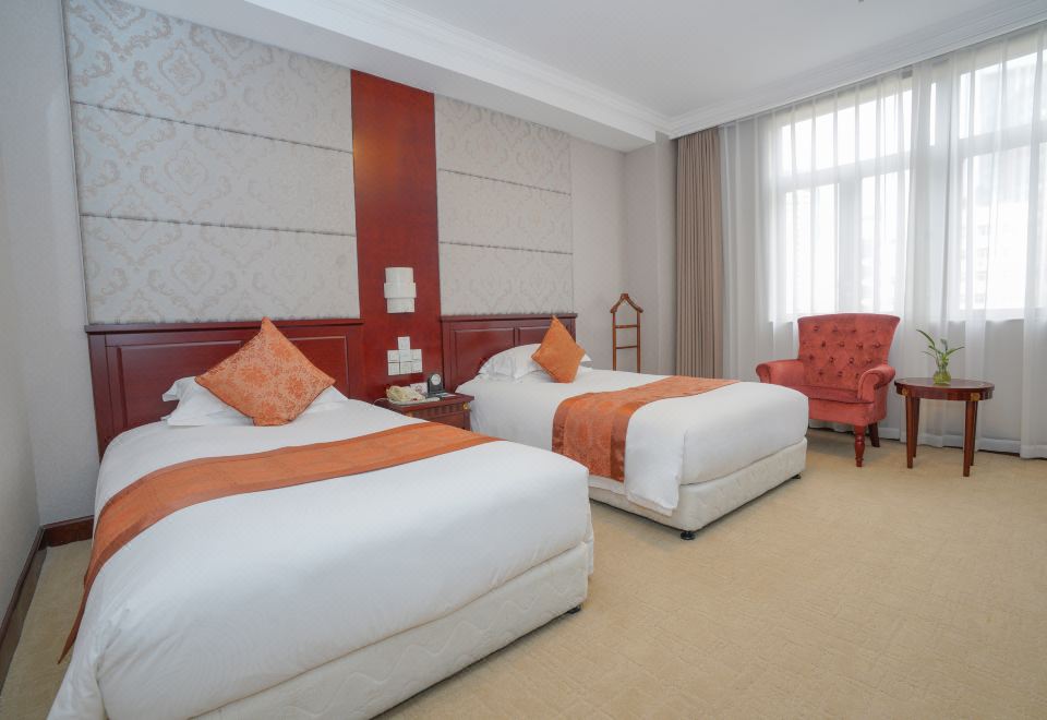 典雅城景双床房