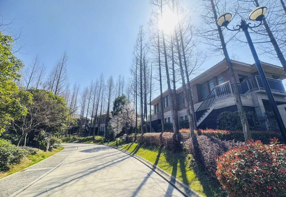 别墅山景标准间