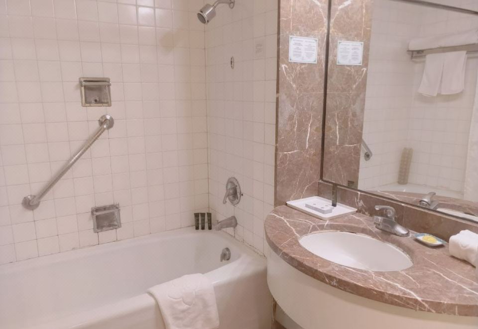 庭院景觀雙床房