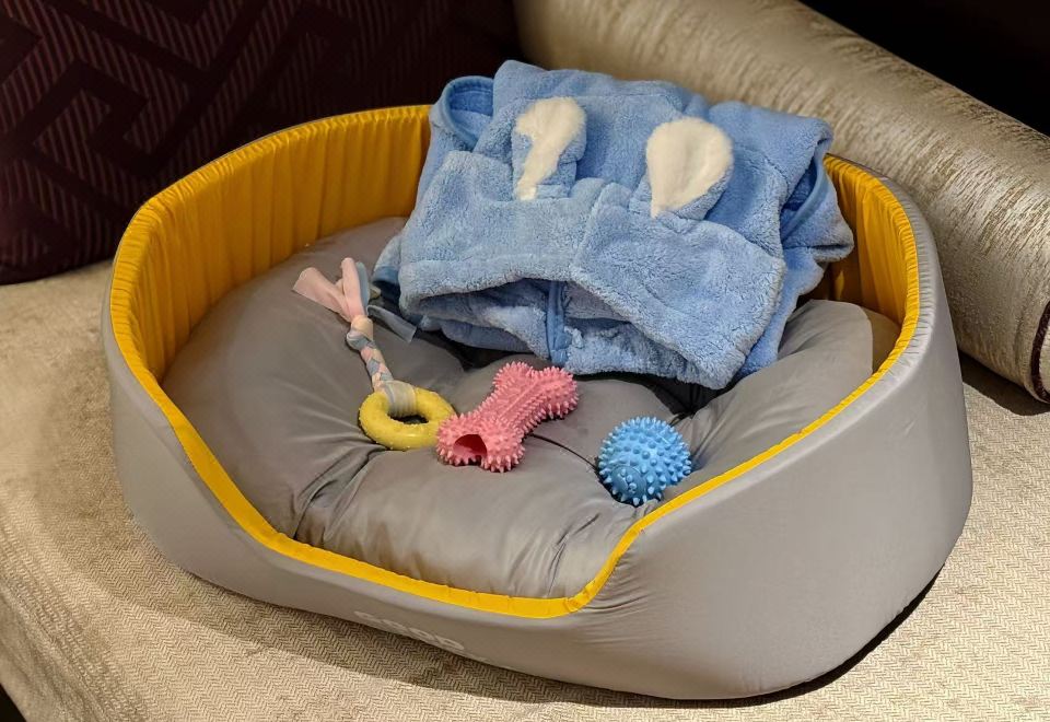 萌宠主题双床房