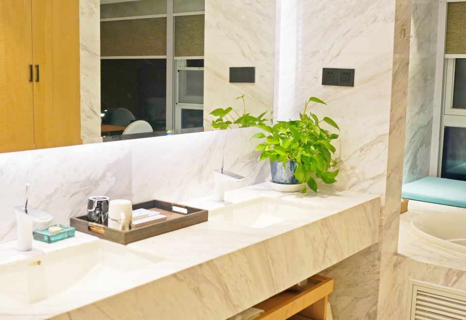 生态家总统套房