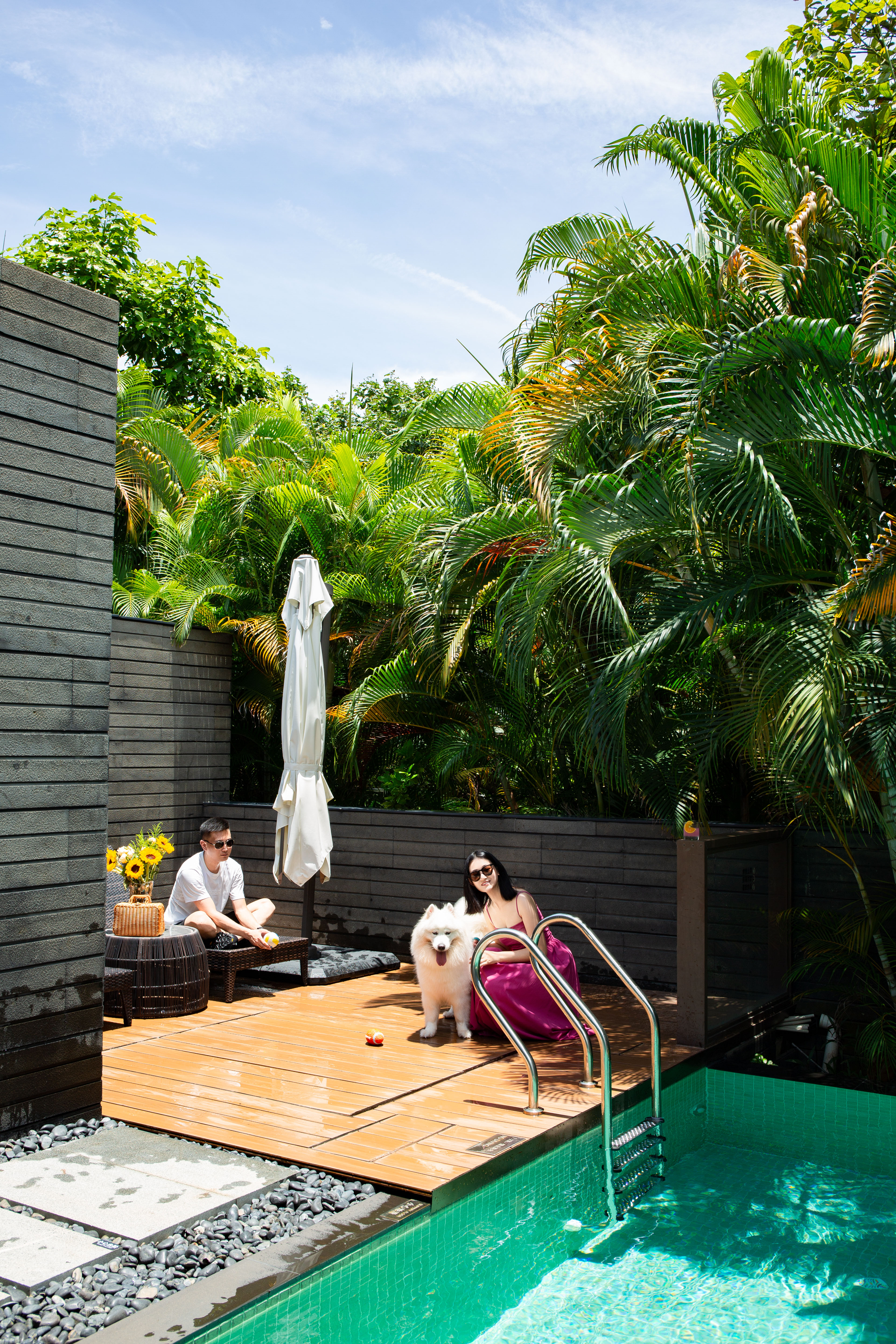 Bay Breeze Resort Shenzhen豪华宠物别墅套房