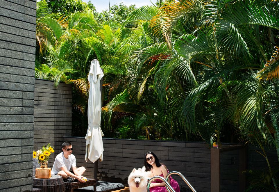 豪華寵物別墅套房