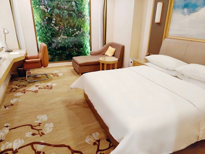 高级大床房（小米空气净化器）