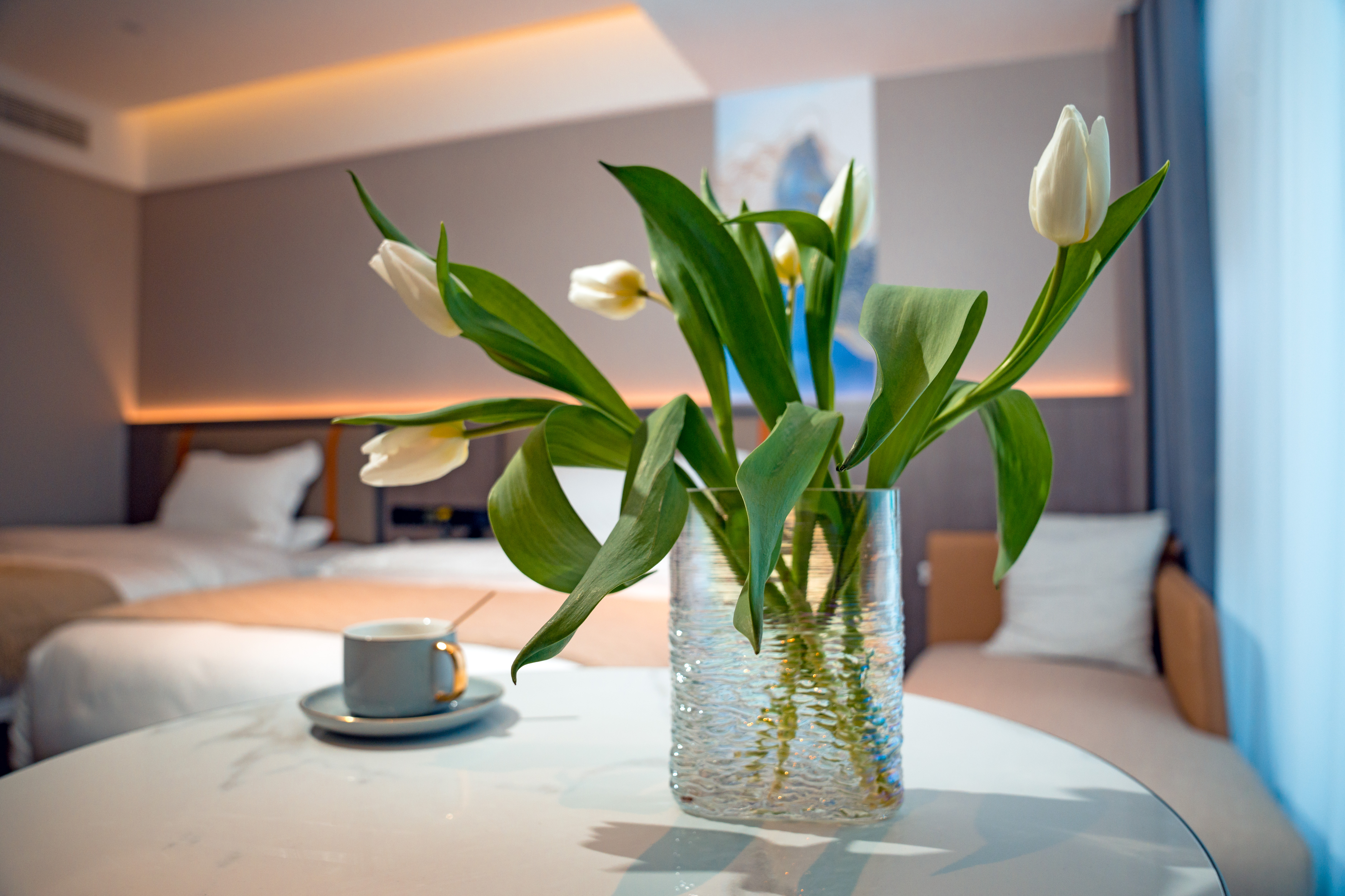 雅致城景双床房｜语音客控&森林氧吧&落地窗&零压床垫