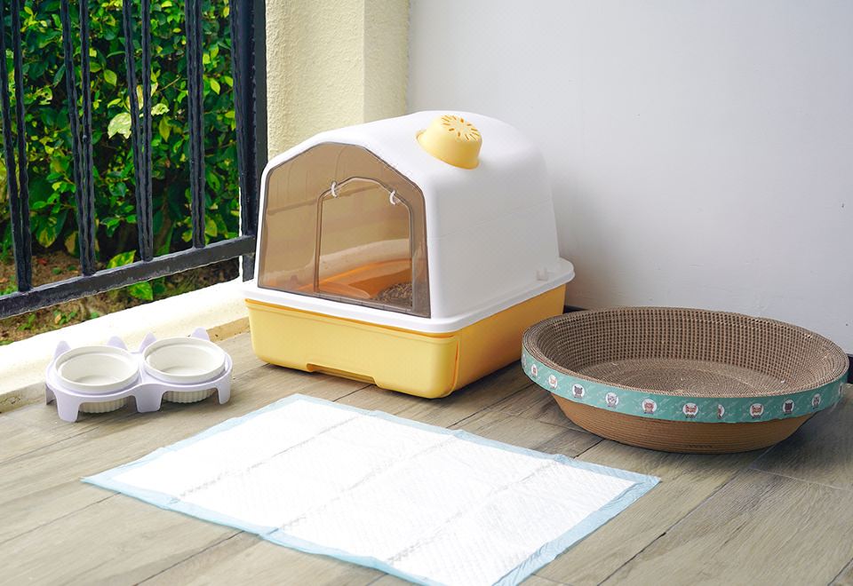 景观庭院双床房-宠物友好