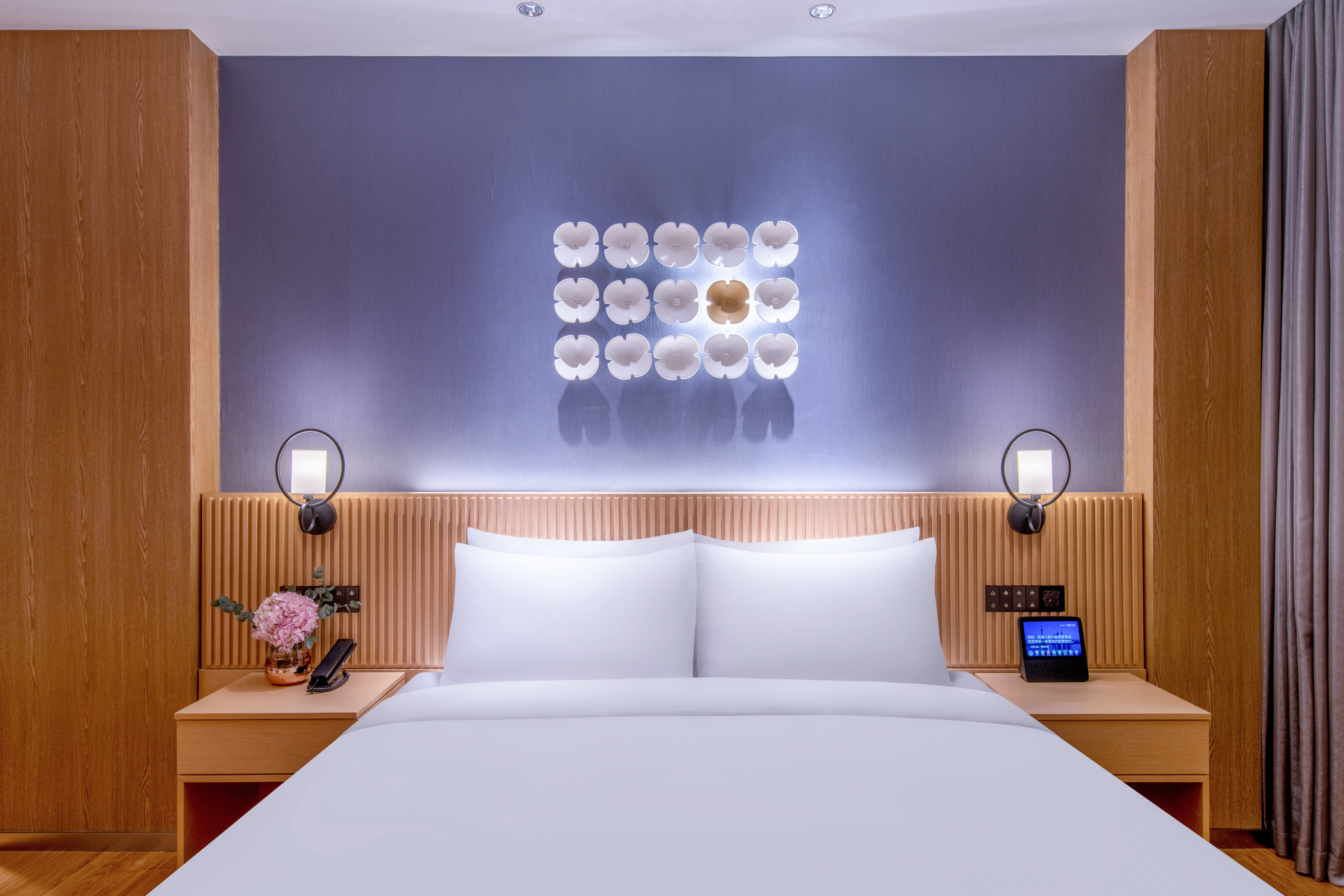 大床房（智能客控+小冰箱）