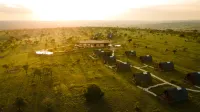 Serengeti Ark Safari Lodge - Kogatende Hotel a 
