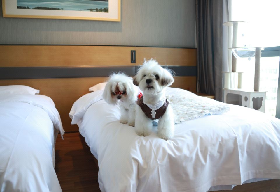 寵物友好 | 豪華雙床房