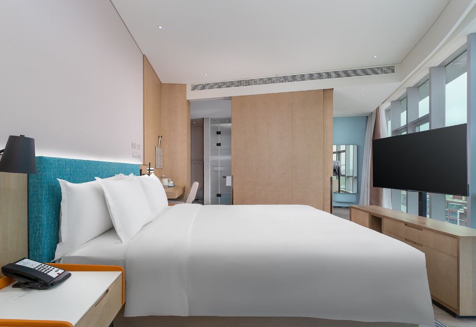 豪华韵动房·超大床（智能健身FITURE魔镜）