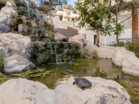 Catalonia Punta del Rey Hotels in Candelaria