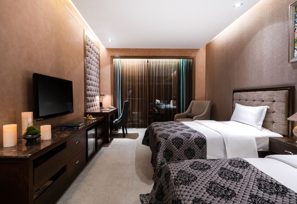 豪华双床房（负氧离子+空气净化设备）