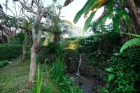 Ubud Jungle Stay - Mahari by WAHM