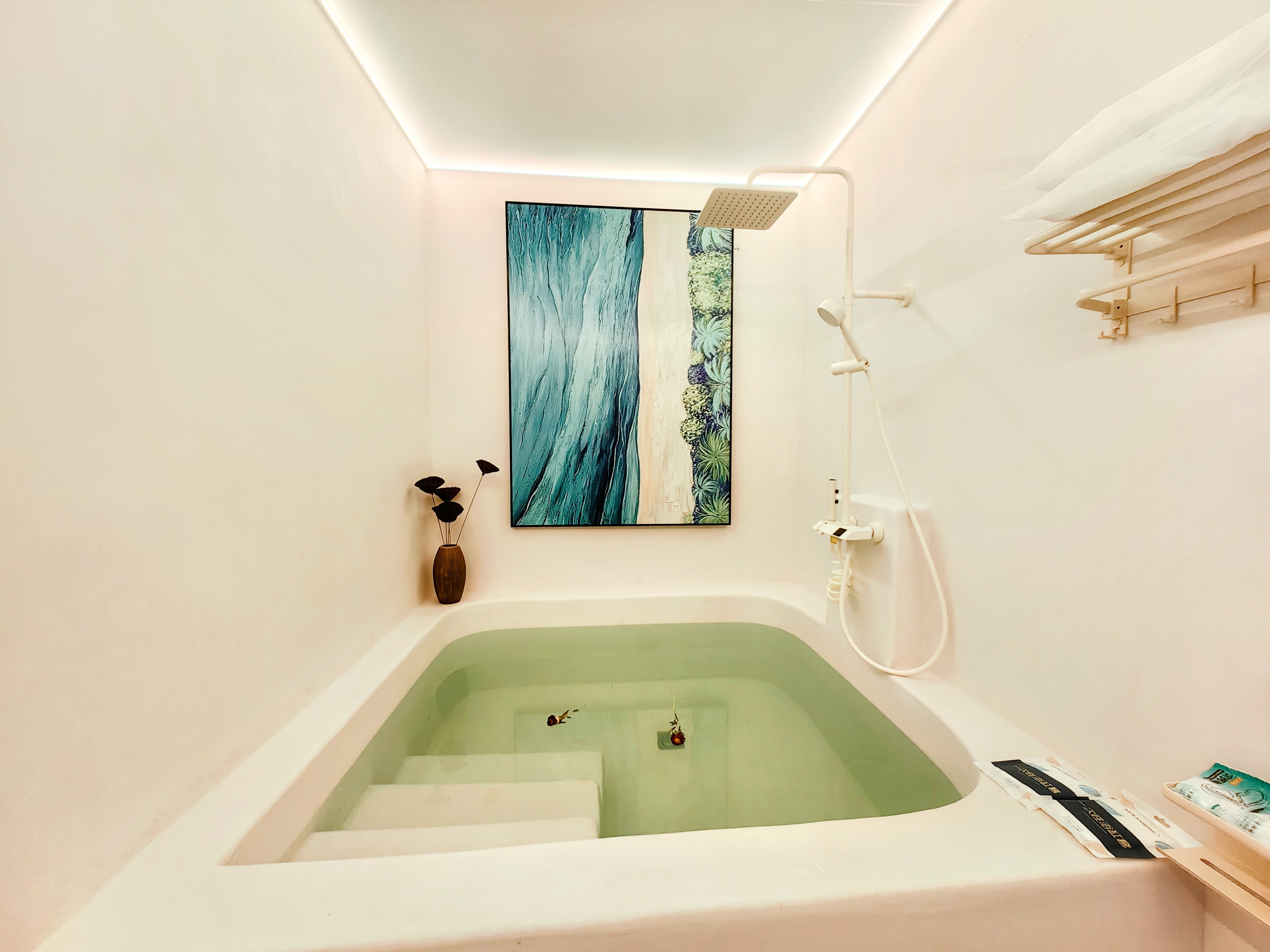 楠舍（浴池·冰箱·洗衣機·沙發·巨幕投影·智能客控）