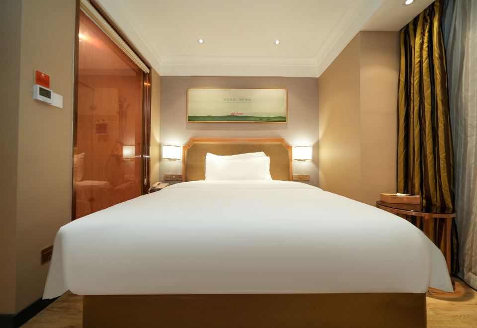 Vienna 3 Best Hotel (Xiamen Airport Xiagu Dock)Queen Room