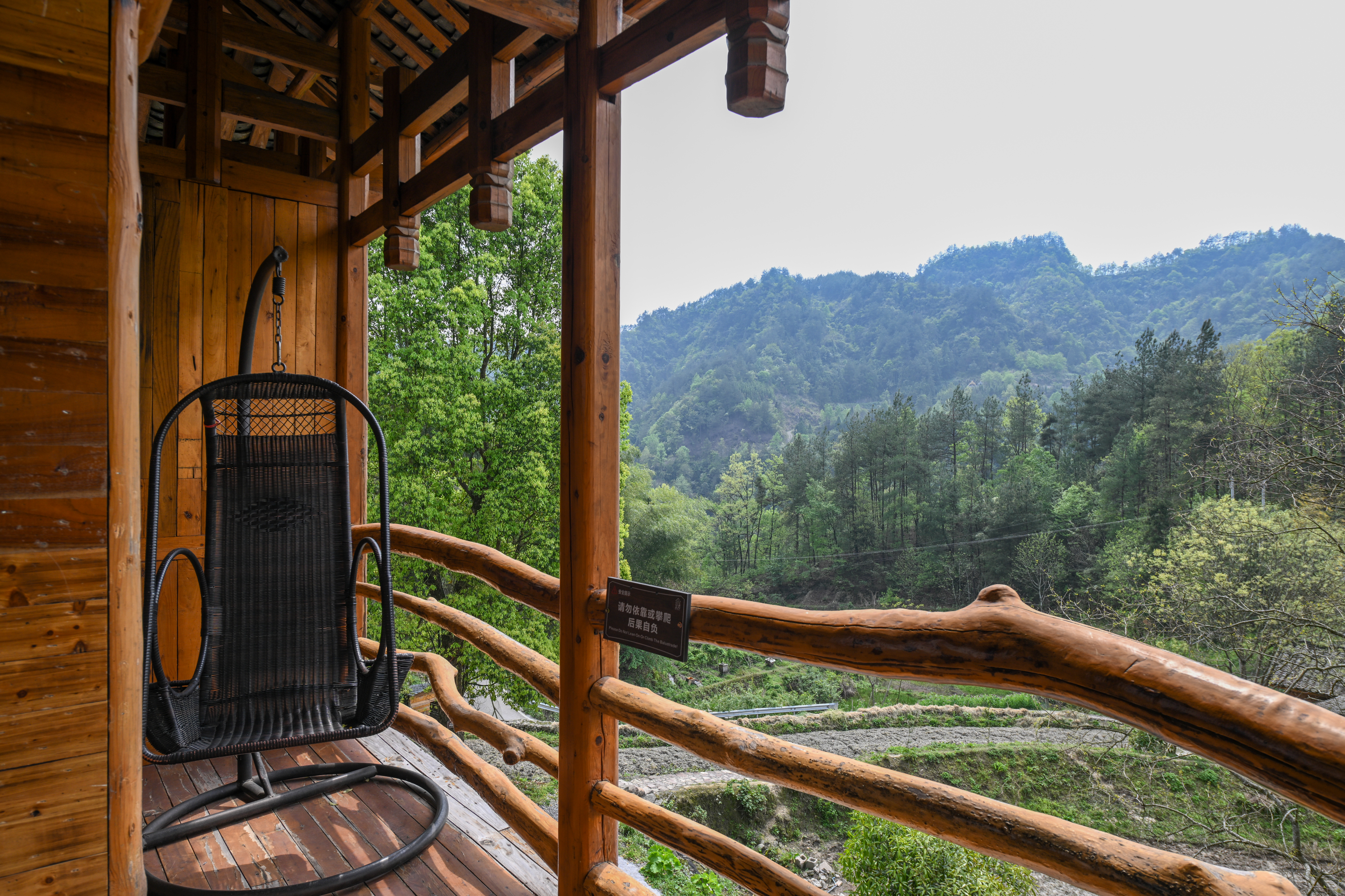 观荷房+超大会客厅+阳台观荷景