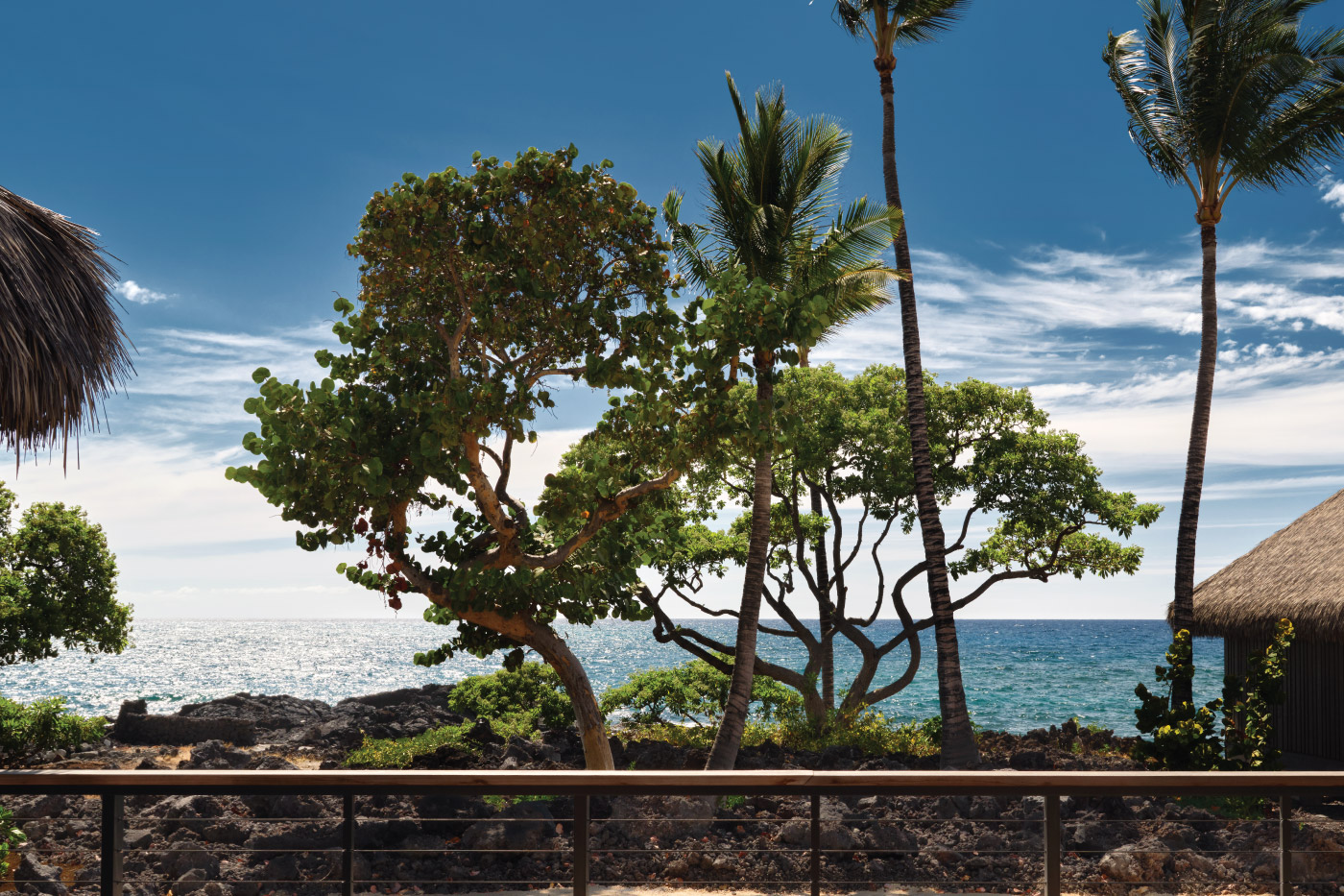 海景无障碍特大床房